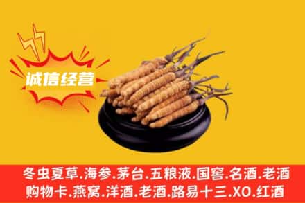 天津河西区回收冬虫夏草